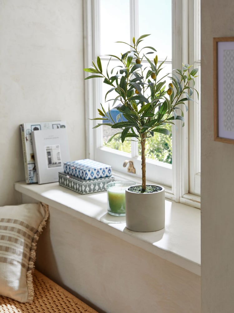 Green Small Artificial Olive Tree In Concrete Pot - Image 1 of 3