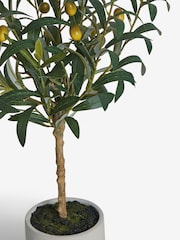 Green Small Artificial Olive Tree In Concrete Pot - Image 2 of 3
