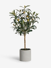 Green Small Artificial Olive Tree In Concrete Pot - Image 3 of 3