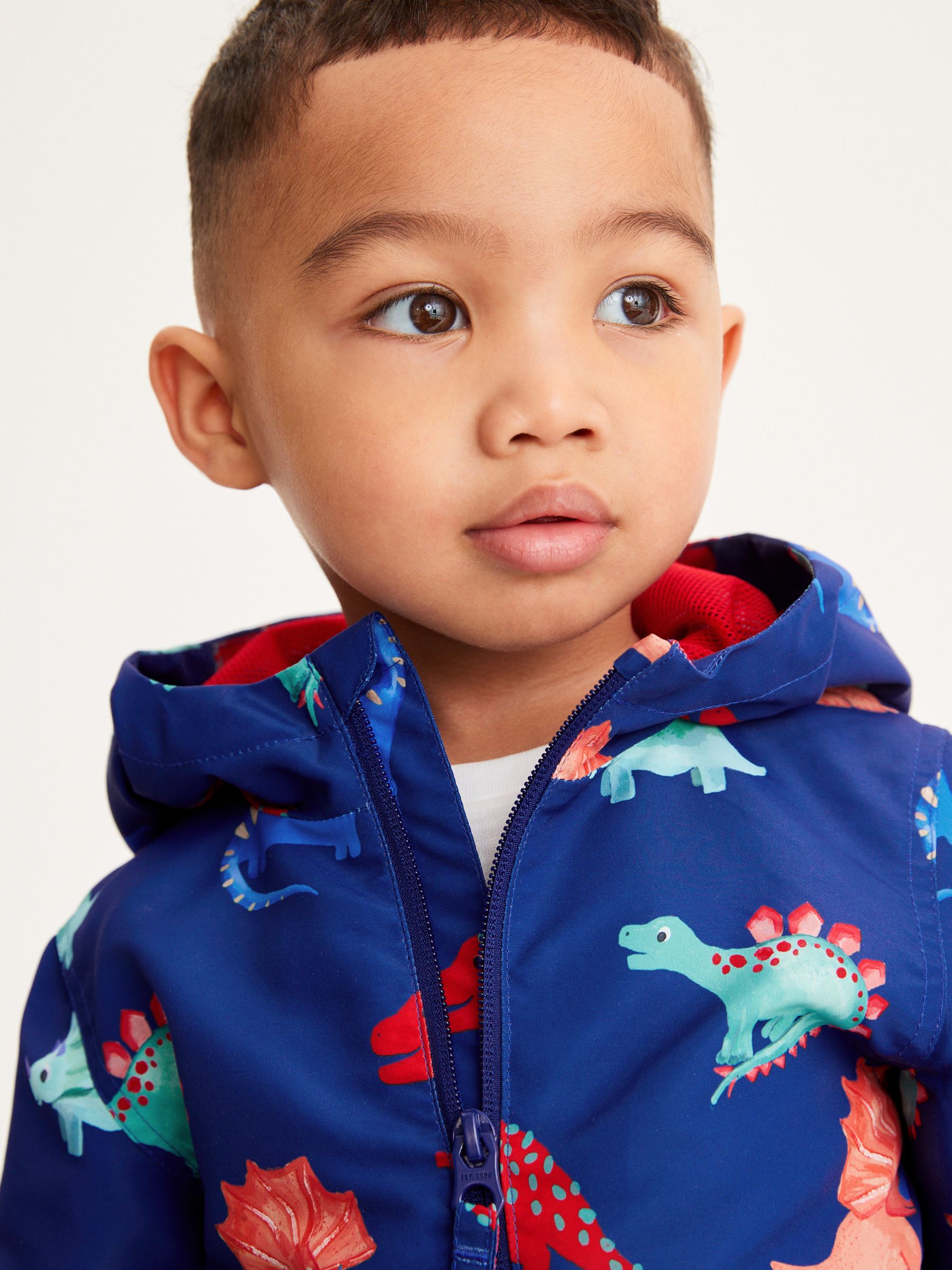 Next dinosaur coat cheap