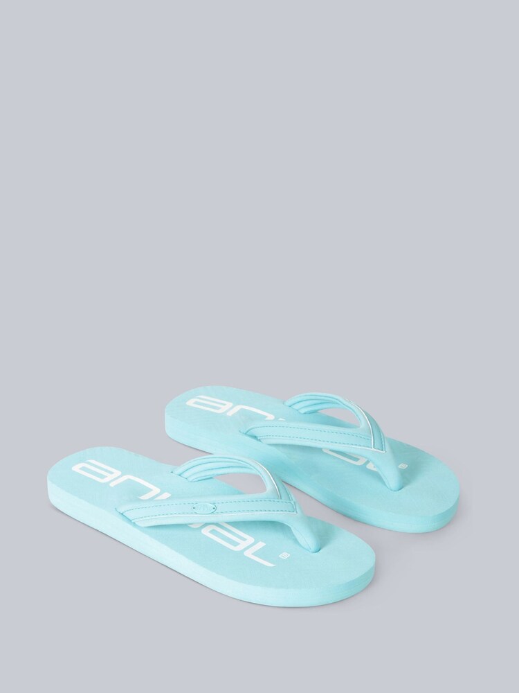 Animal Womens Swish Flip Flops - Image 1 of 1