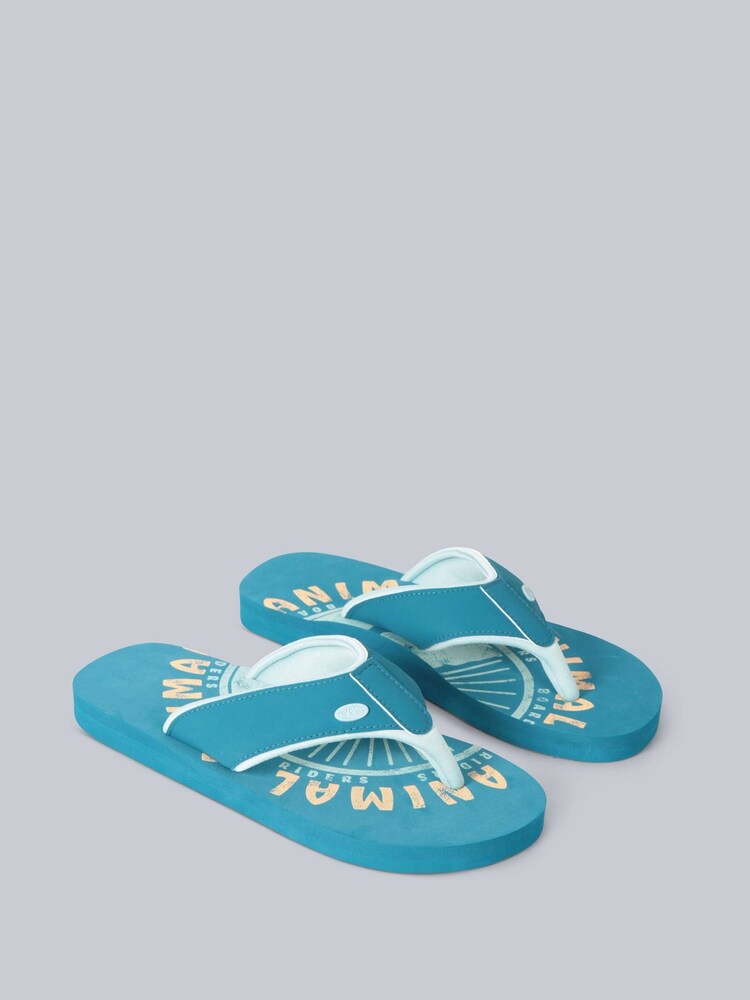 Animal Womens Fiery Swish Flip Flops - Image 1 of 4