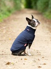 Hugo & Hudson Blue Fleece and Knit Dog Jumper - Image 2 of 4