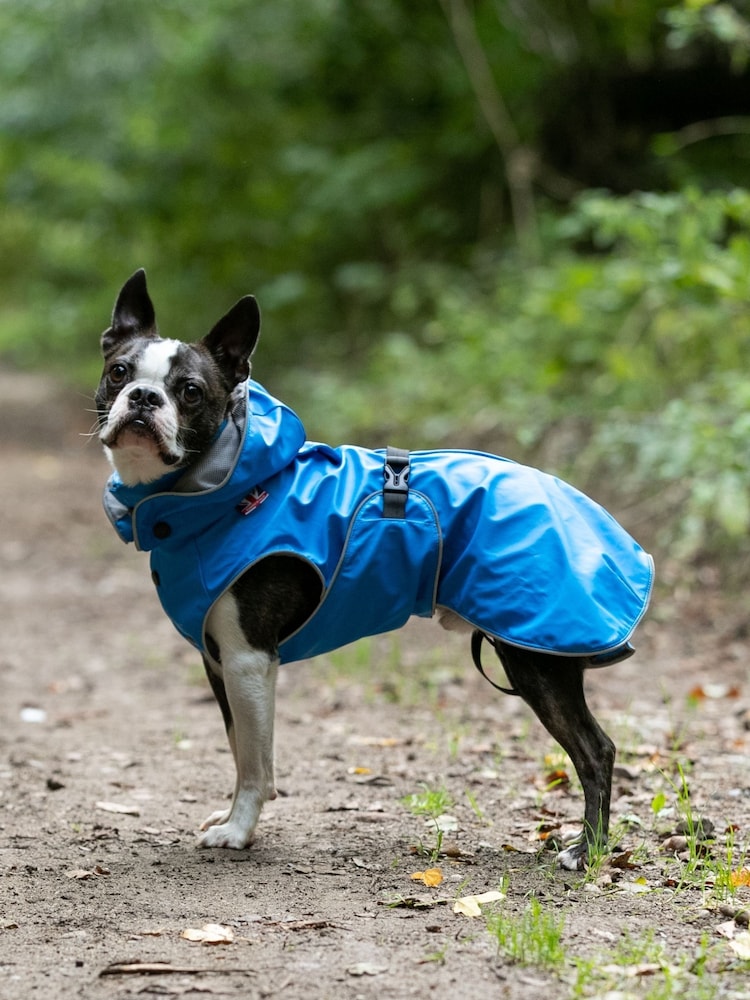 Hugo & Hudson Blue All Weather Dog Raincoat - Image 1 of 4