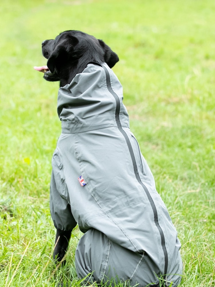 Hugo & Hudson Grey Teal Protective Dog Overalls - Image 2 of 4