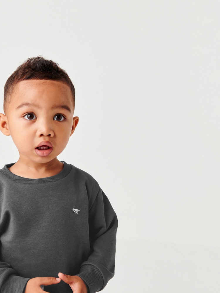 Grey Charcoal Jersey Sweatshirt And Joggers Set (3mths-7yrs) - Image 4 of 6