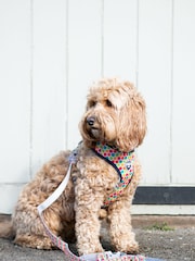 Hugo & Hudson Orange Multi Coloured Geometric Dog Lead - Image 1 of 4
