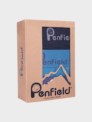 Penfield Blue Enfield Bear Boxers 3 Pack - Image 4 of 5