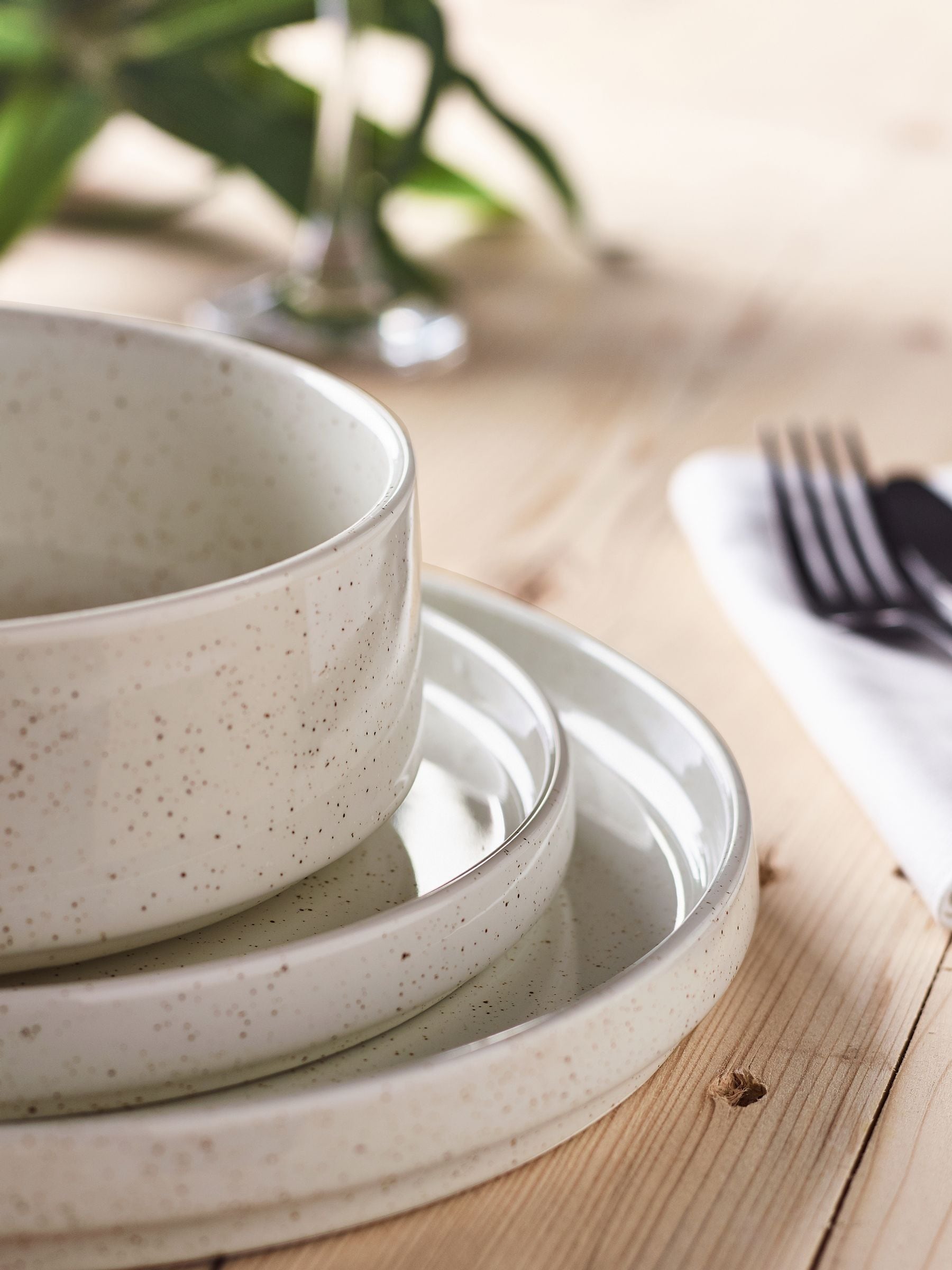 Speckled dinner set top