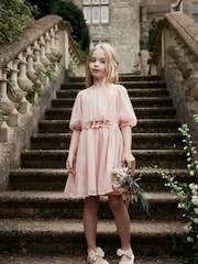 Pink Chiffon Corsage Dress (3-16yrs) - Image 1 of 10