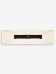 Champagne Gold Cummerbund And Bow Tie Set - Image 3 of 6