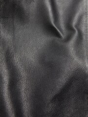 Black Premium Leather Biker Trousers - Image 9 of 10