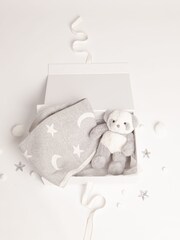 Babbico Grey Panda Plush Toy With Moon And Star 100% Cotton Blanket 2 Piece Baby Gift Set - Image 3 of 4