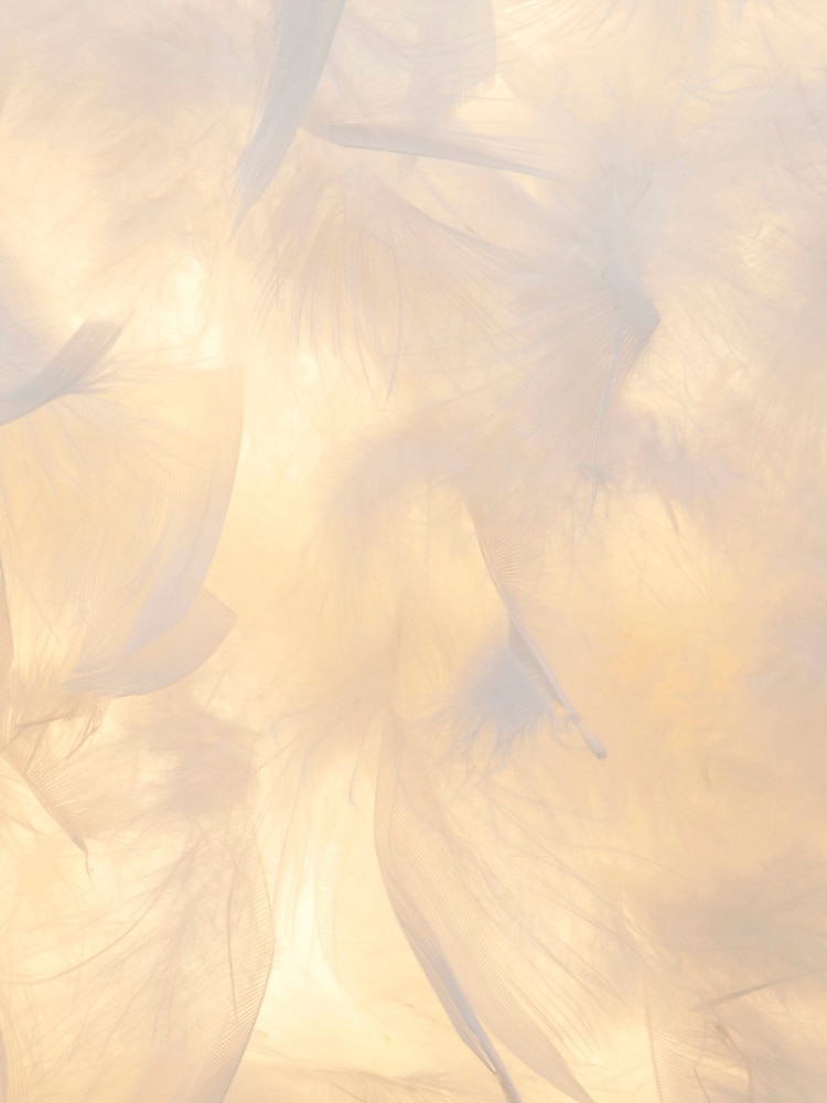 BHS Brass Plume Feather Tripod Table Lamp - Image 2 of 4