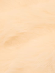 Adrianna Papell Natural Faux Fur Brooch Coverup - Image 6 of 6
