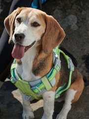 Lime Green Dog Harness - Image 1 of 1