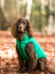 Hugo & Hudson Dark Green and Grey Reversible Dog Puffer Jacket - Image 1 of 4