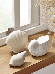 Set of 3 Natural Shell Ornaments - Image 1 of 2
