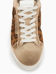 AllSaints Brown Sheer Leopard Sneakers - Image 4 of 6