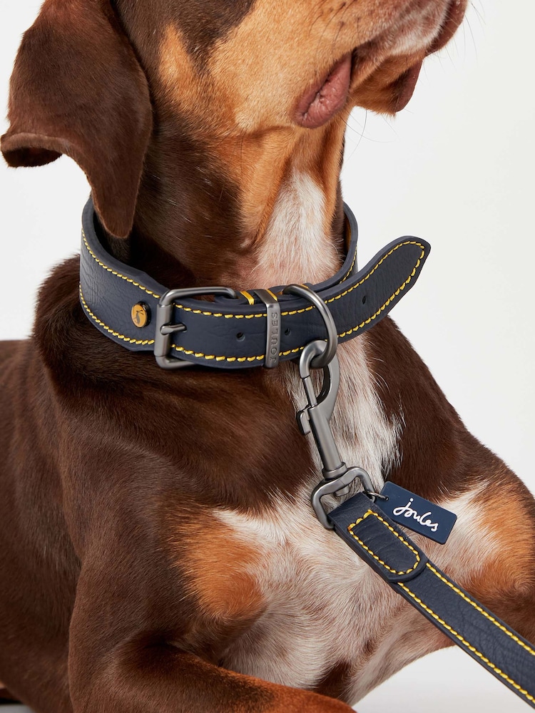 Joules Blue Adjustable Leather Dog Collar - Image 1 of 4