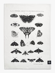 Kew Gardens Set of 3 Green 100% Cotton Tea Towels - Image 2 of 4