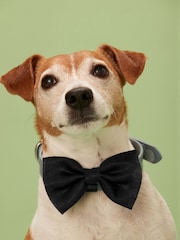 Black Satin Matching Family Tie - Image 1 of 5