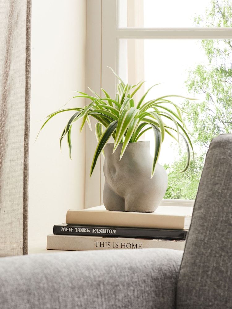 Green Artificial Spider Plant In Concrete Body Shape Vase - Image 2 of 4 Green Artificial Spider Plant In Concrete Body Shape Vase - Image 2 of 4