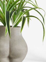 Grünlilien-Kunstblume in einem Topf in Betonoptik mit Gesäßform - Bild 4 von 4