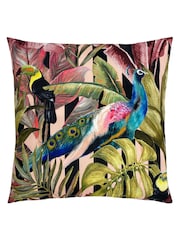 Evans Lichfield Black Toucan And Peacock 43 x 43 Outdoor Polyester Cushion - Image 1 of 4