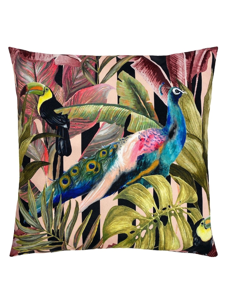 Evans Lichfield Black Toucan And Peacock 43 x 43 Outdoor Polyester Cushion - Image 1 of 4