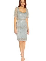 Adrianna Papell Blue Beaded Scallop Sheath Dress - Image 1 of 6
