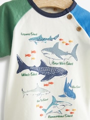 FatFace Blue Shark Baby Short and T-Shirt Set - Image 3 of 8