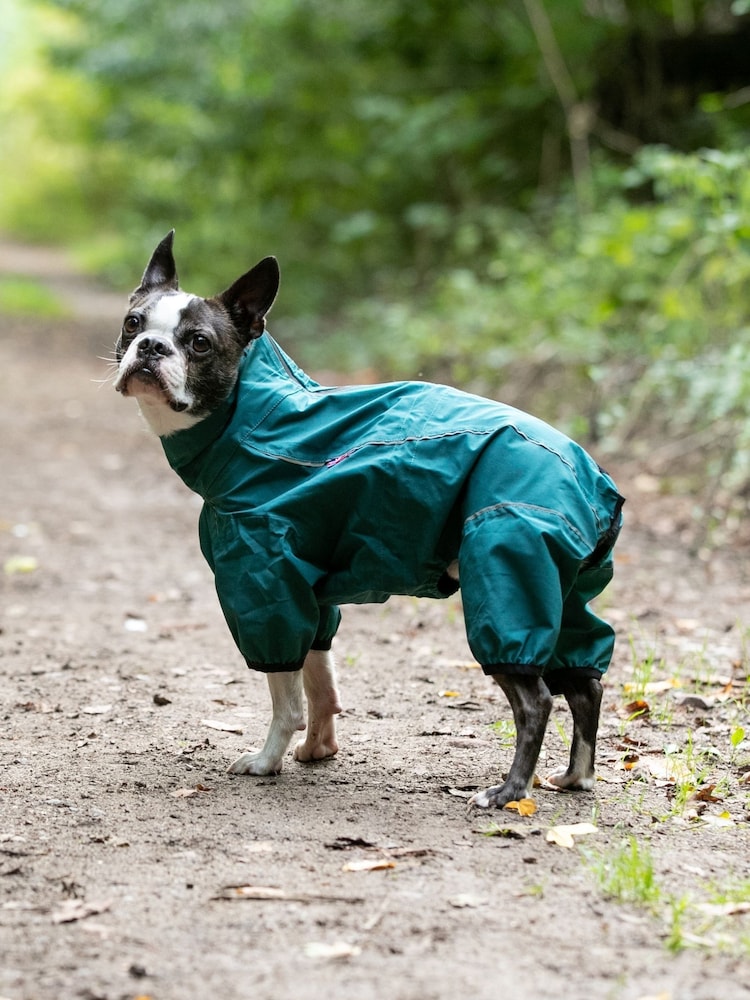 Hugo & Hudson Green Teal Protective Dog Overalls - Image 2 of 4