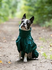 Hugo & Hudson Green Teal Protective Dog Overalls - Image 3 of 4