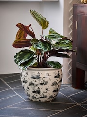 Rockett St George Black/White Willow Toile Large Planter - Image 1 of 5