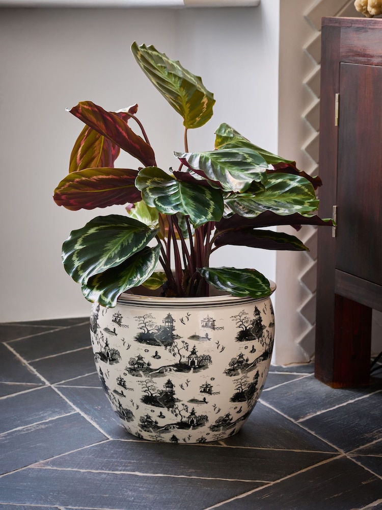 Rockett St George Black/White Willow Toile Large Planter - Image 1 of 5