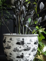 Rockett St George Black/White Willow Toile Large Planter - Image 5 of 5