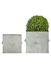 Fallen Fruits Set of 2 Grey Garden Square Lion Planters - Image 1 of 1