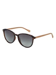 Ted Baker Tortoiseshell Brown Classic Round Eye Sunglasses - Image 2 of 5