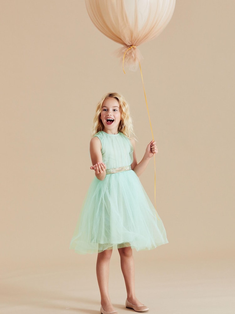 Mint Green Mesh Tie Back Party Dress (3-16yrs) - Image 2 of 6