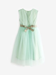 Mint Green Mesh Tie Back Party Dress (3-16yrs) - Image 6 of 6