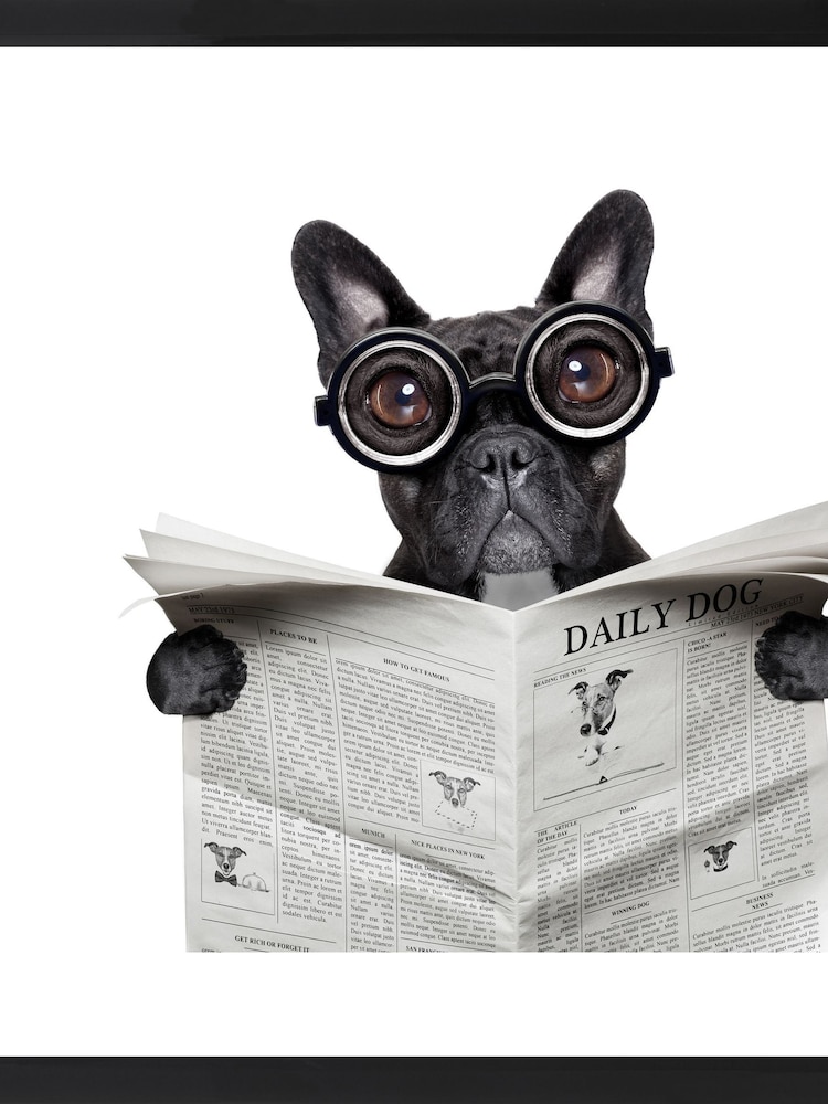 Brookpace Lascelles Black 'Bulldog News' Photographic Print in Glass Frame - Image 1 of 3