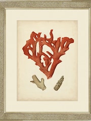 Brookpace Lascelles Gold Antique Red Coral II in Antique Mirrored Frame - Image 1 of 3
