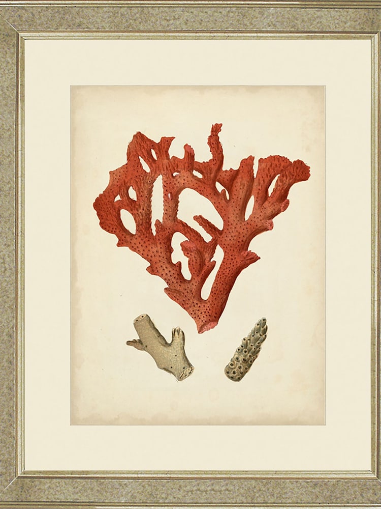 Brookpace Lascelles Gold Antique Red Coral II in Antique Mirrored Frame - Image 1 of 3
