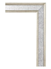 Brookpace Lascelles Gold Antique Red Coral II in Antique Mirrored Frame - Image 3 of 3