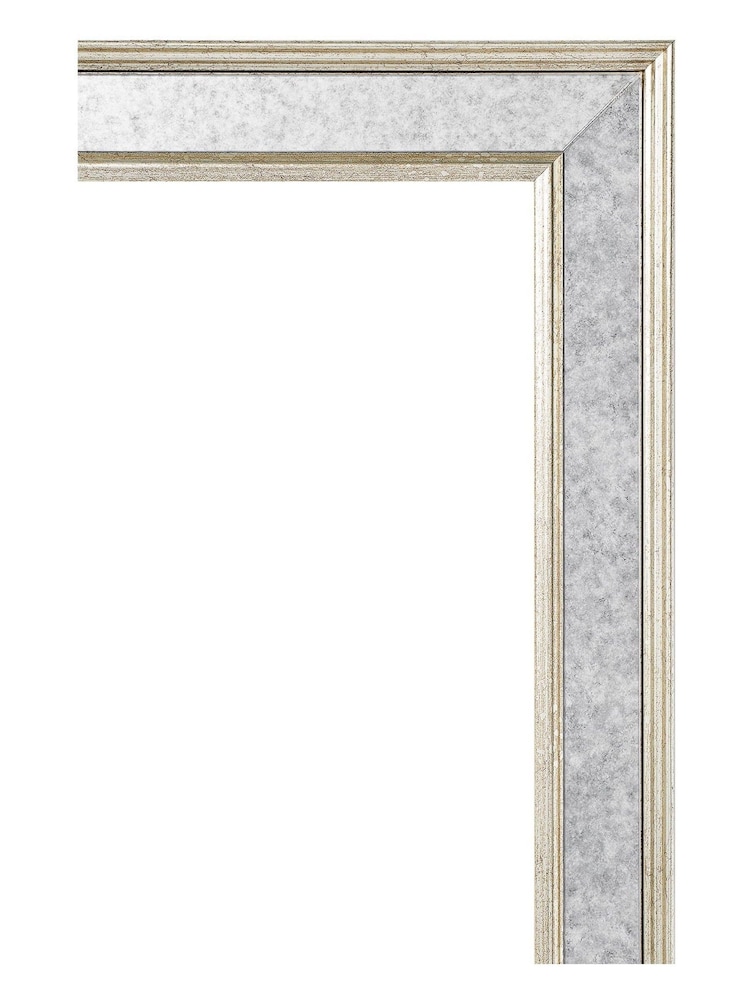 Brookpace Lascelles Gold Antique Red Coral II in Antique Mirrored Frame - Image 3 of 3