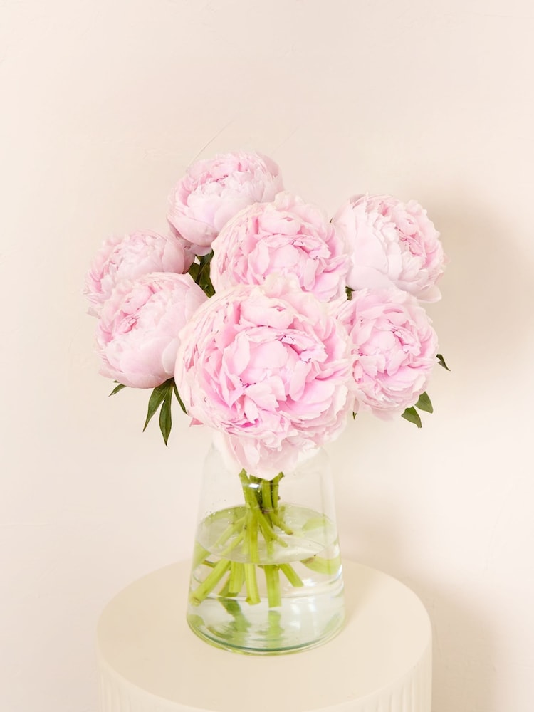 Arena Flowers Pink Peonies Letterbox Bouquet - Image 1 of 5
