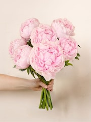 Arena Flowers Pink Peonies Letterbox Bouquet - Image 4 of 5