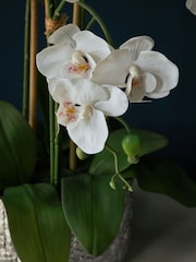 White Large Artificial Real Touch Orchid Plant In Silver Pot - Image 2 of 5