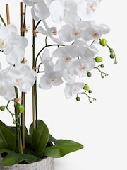White Large Artificial Real Touch Orchid Plant In Silver Pot - Image 4 of 5